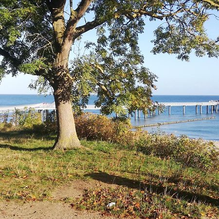 Ostseetraum Koserow Luaran gambar